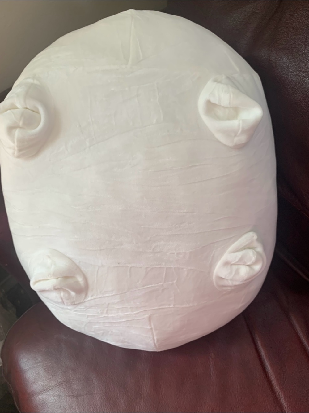Shiba Inu Stuffed Animal Plush Dog Super Soft Squishy Toy Pillow Anime Kawaii - Picture 3 of 5